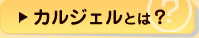 カルジェルとは